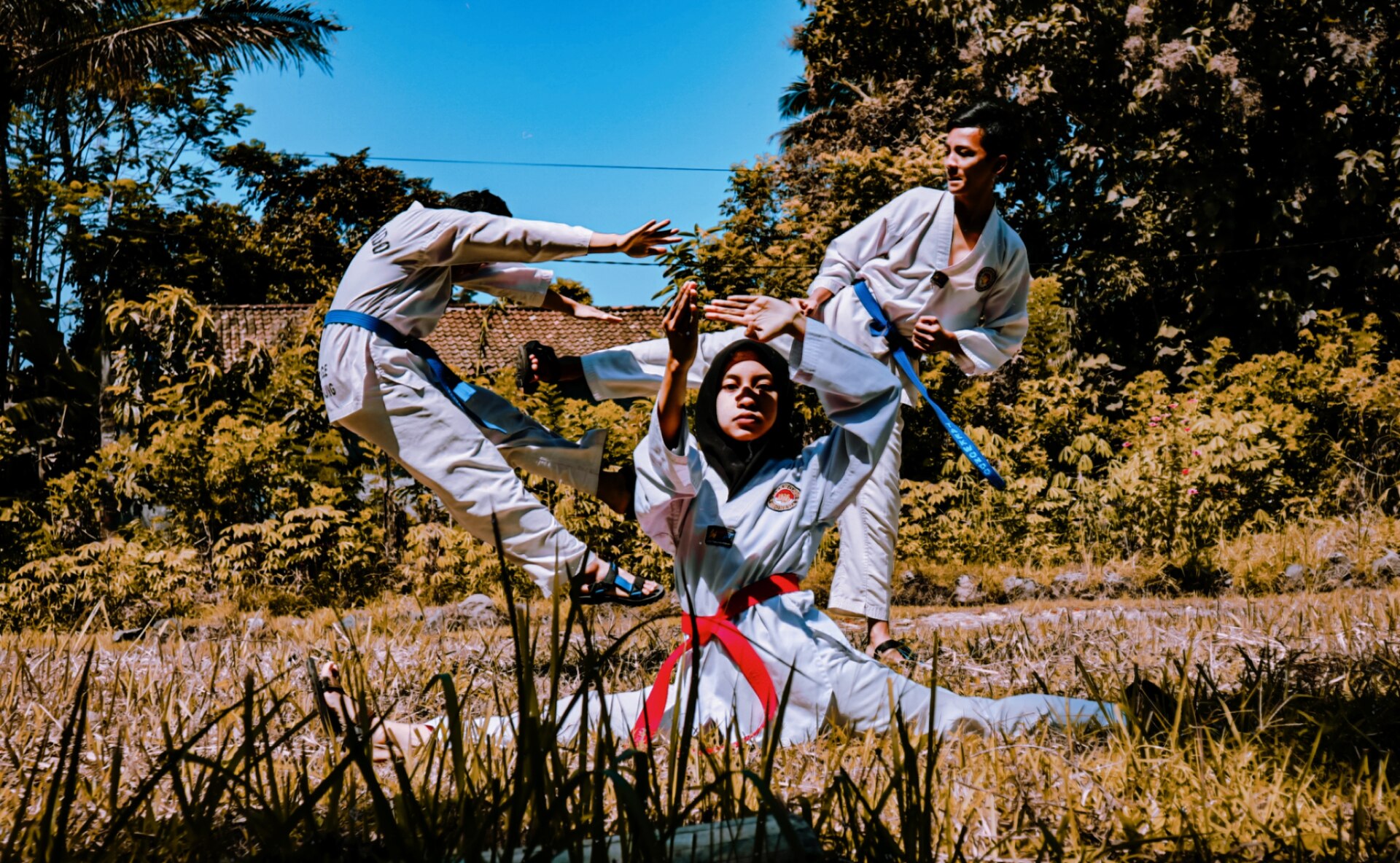 ZUMA Martial Arts gym photo